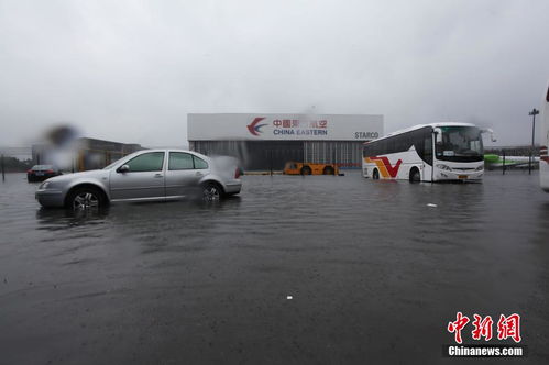 上海遭遇特大暴雨，市民頂風(fēng)冒浪頑強(qiáng)前行